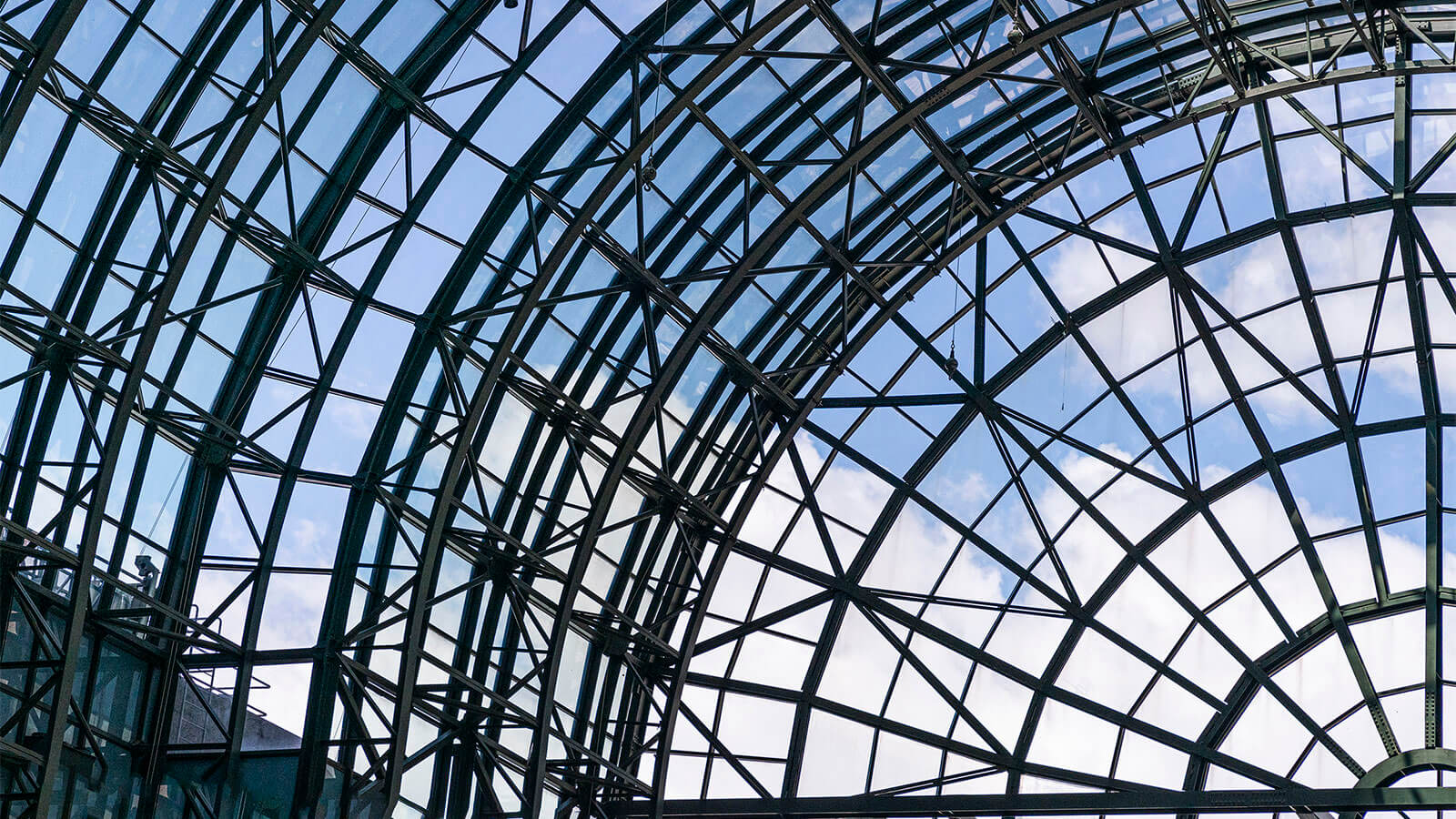 Photo shot through the roof of the glass-topped Winter Garden