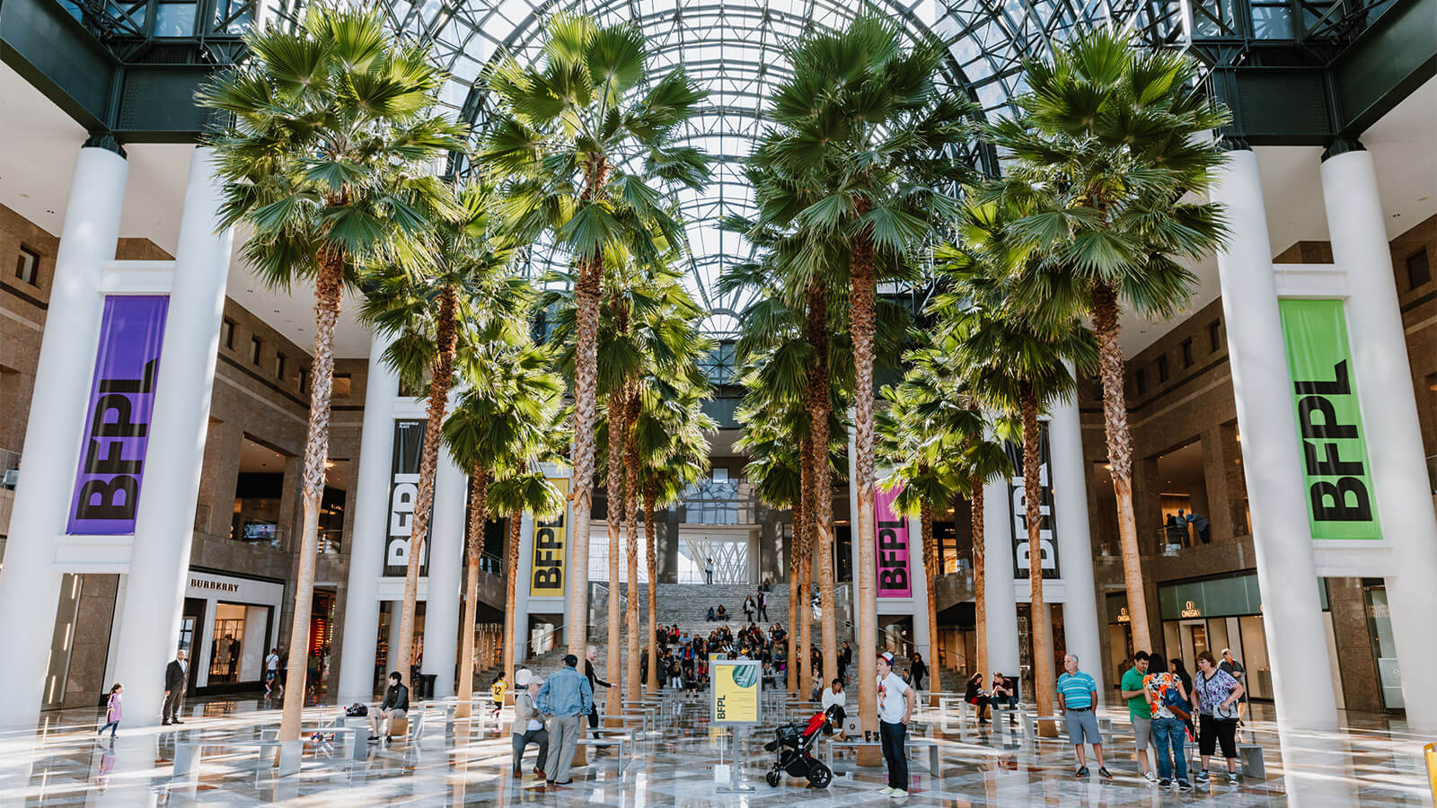 The Winter Garden at BFPL showcasing their giant palm trees and shoppers abound